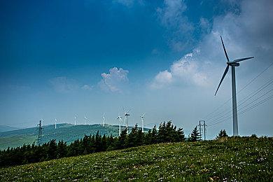 谍战类剧情向游戏《沉舟》Steam上线 发售日期待定